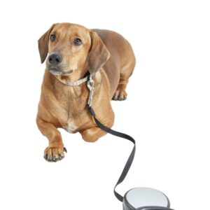 Dog Auto Leash  - Black & Grey Combined