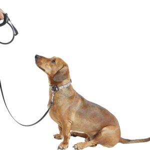 Dog Auto Leash  - Black & Grey Combined