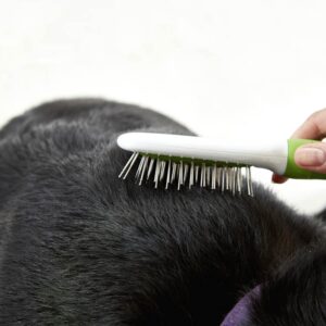Pet Brush  - Green and White