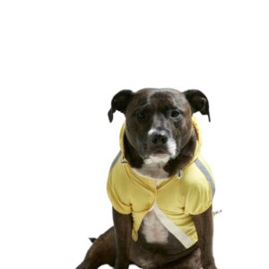 Dog Raincoat  50 - Yellow