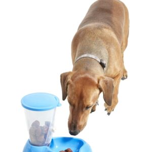 Seat-Style Feeding Trough - Blue