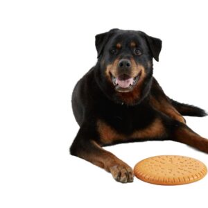 Pet Frisbee Toy  - Orange