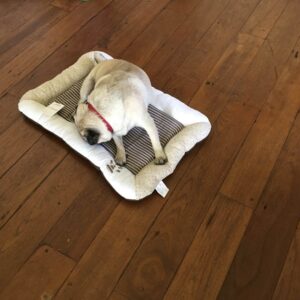 Cotton Fabric  Pet Bed - Coffee & White Combined Large