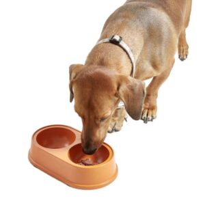 Natural Pet Bowl  - Orange large