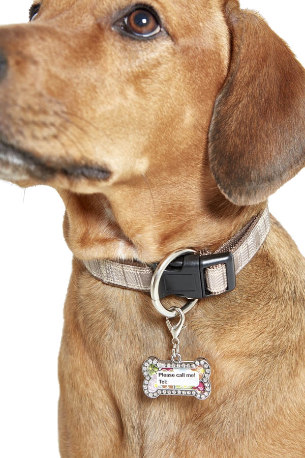 Dog Charm (ID Tag) - White, on a Silver Frame