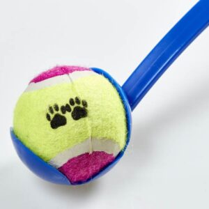 Pet Tennis Toy  - Dark Blue Handle